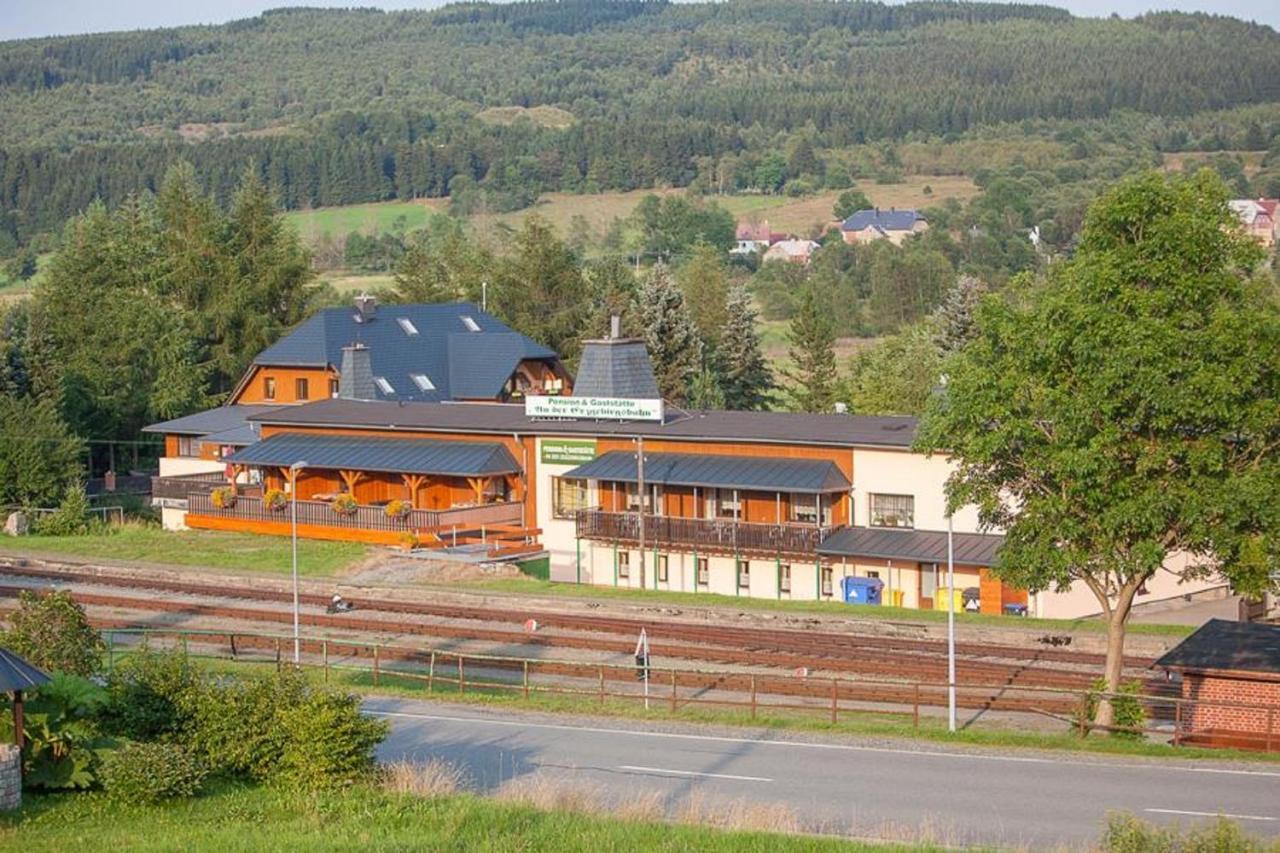 Pension An Der Erzgebirgsbahn Обервізенталь Екстер'єр фото