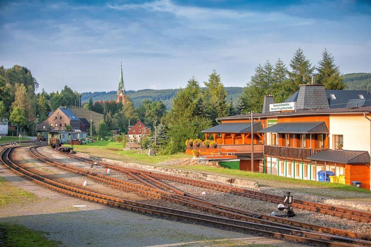 Pension An Der Erzgebirgsbahn Обервізенталь Екстер'єр фото